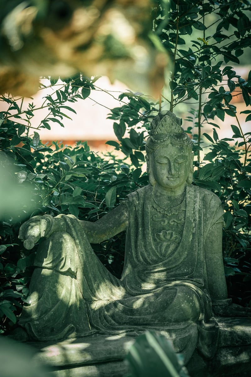 Mindful Observation